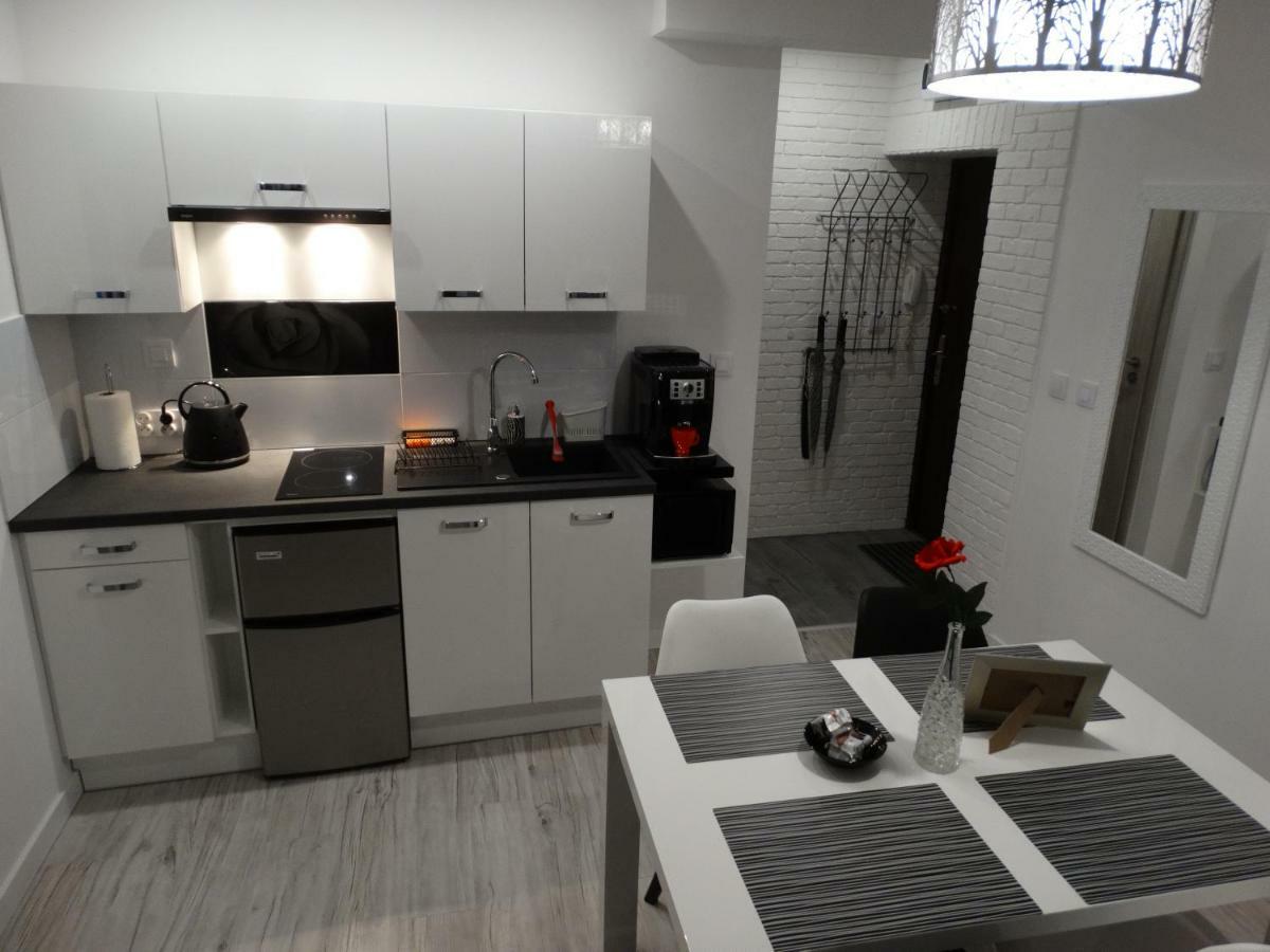 Apartament "Eli" Stary Toruń المظهر الخارجي الصورة